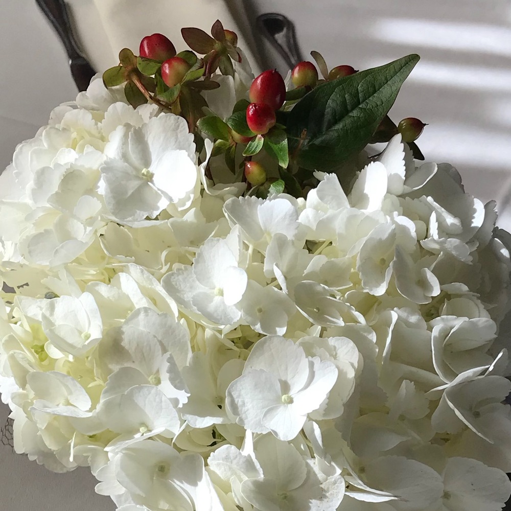 Meet your Posher, Jennifer